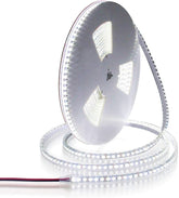ALITOVE Daylight White LED Strip Lights - 32.8ft, 1200 LEDs, 6000K, Ultra-bright - ALITOVE-Add Vivid Color to Life